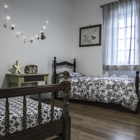 Il Pettirosso B&B Grottaferrata Extérieur photo