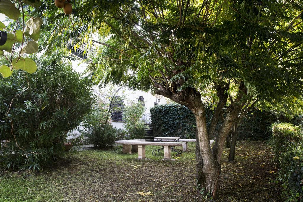 Il Pettirosso B&B Grottaferrata Extérieur photo