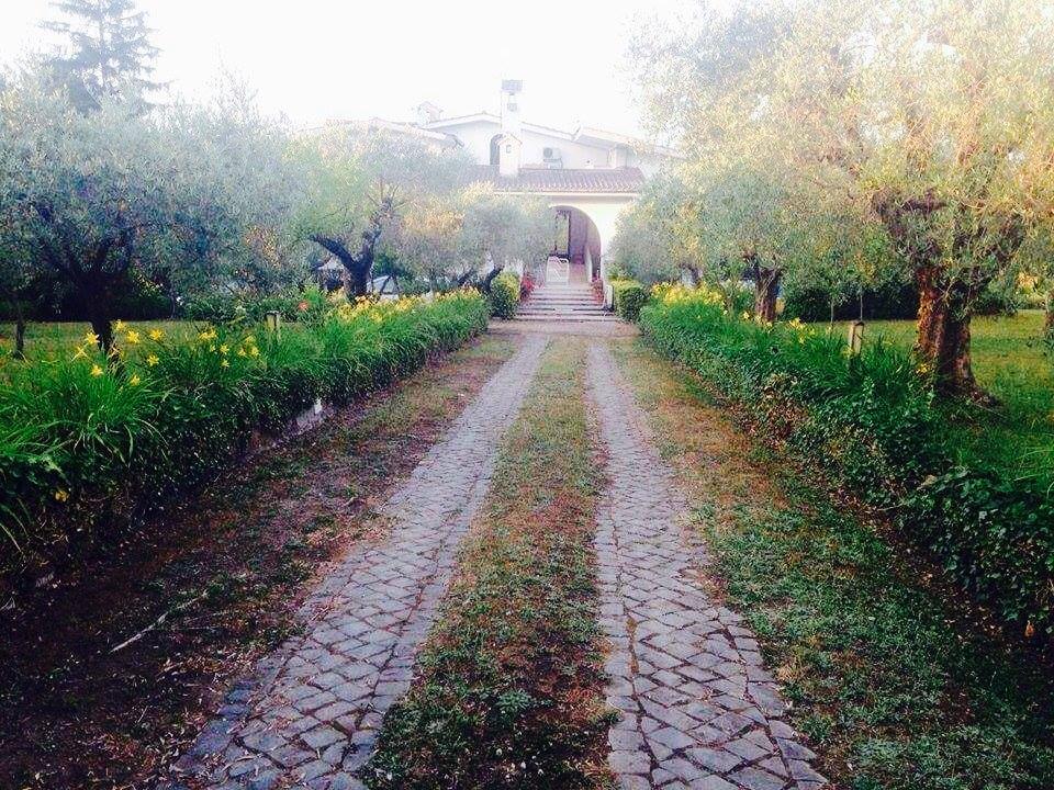 Il Pettirosso B&B Grottaferrata Extérieur photo