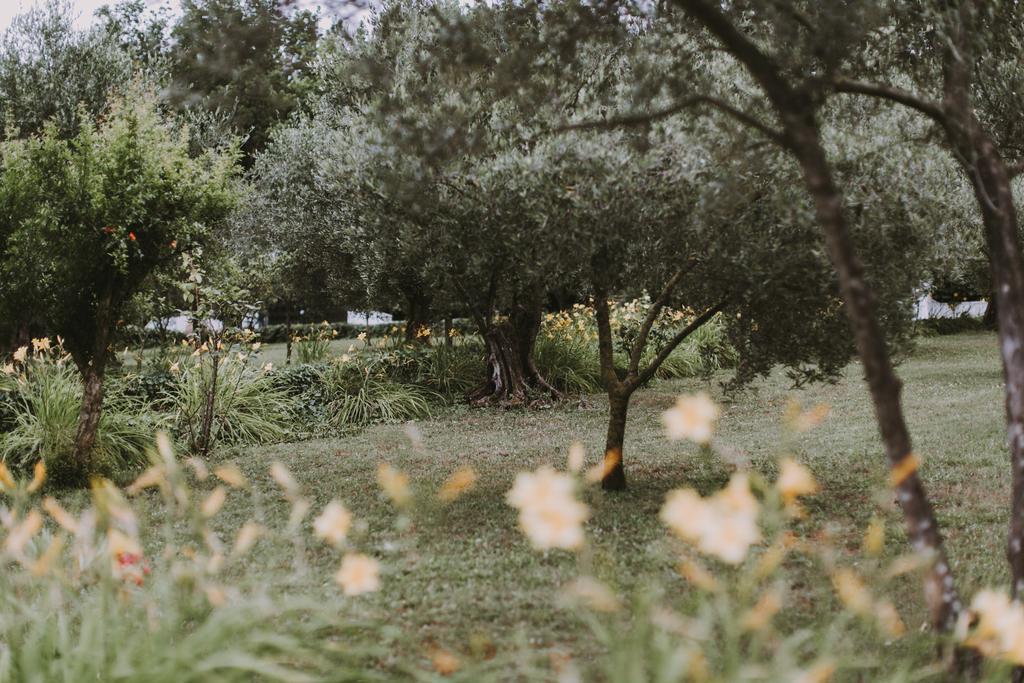 Il Pettirosso B&B Grottaferrata Extérieur photo
