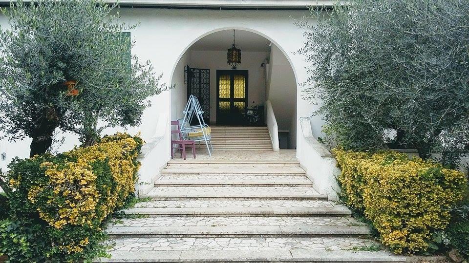 Il Pettirosso B&B Grottaferrata Extérieur photo