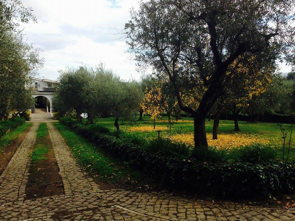 Il Pettirosso B&B Grottaferrata Extérieur photo