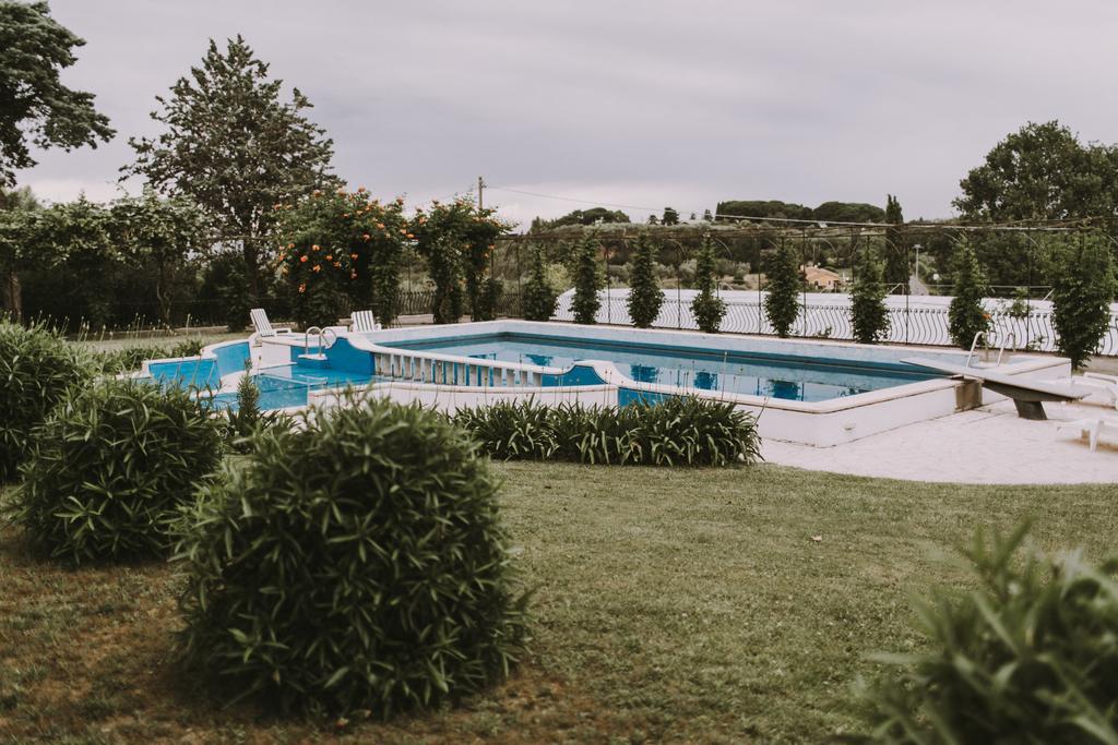 Il Pettirosso B&B Grottaferrata Extérieur photo