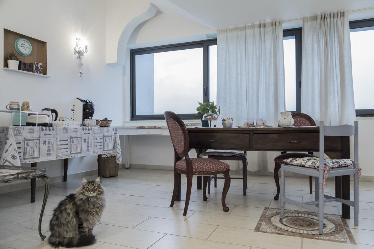 Il Pettirosso B&B Grottaferrata Extérieur photo
